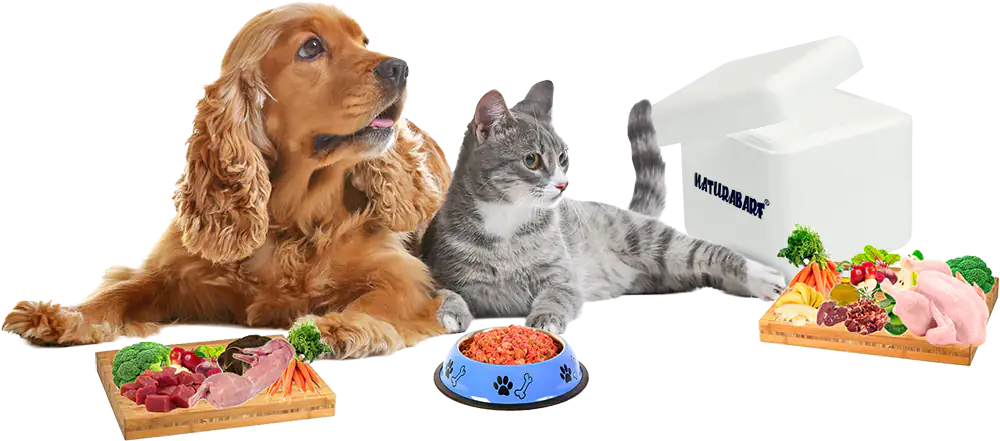 naturabarf dieta barf para mascotas caninas y felinas