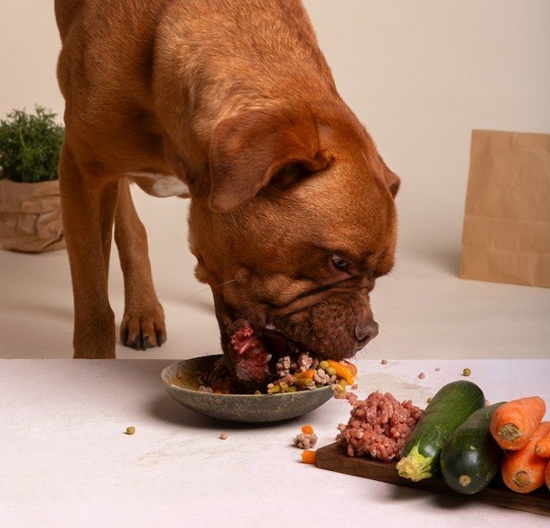 Riesgos dieta barf